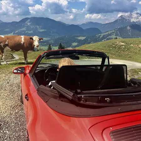 Kitz4ever By Belle-stay